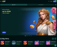 Savaspin Casino Screenshot