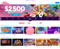 Στιγμιότυπο οθόνης του Slots Paradise Casino